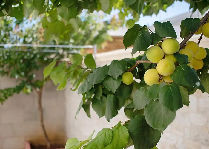 Lelia Апартаменты *